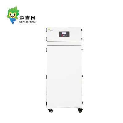 激光噴碼煙霧凈化器SJF-603GP